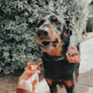 Meet your Posher, Alara